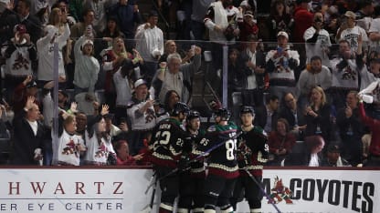 Arizona coyotes