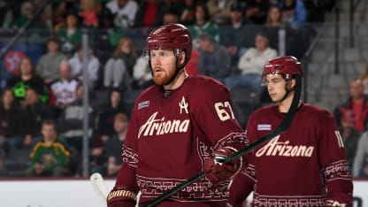 Arizona Coyotes nepostúpi do play off 